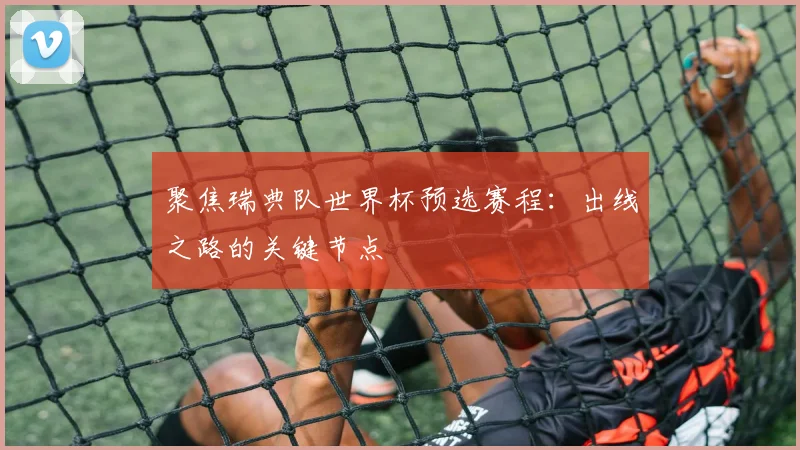 聚焦瑞典队世界杯预选赛程:出线之路的关键节点