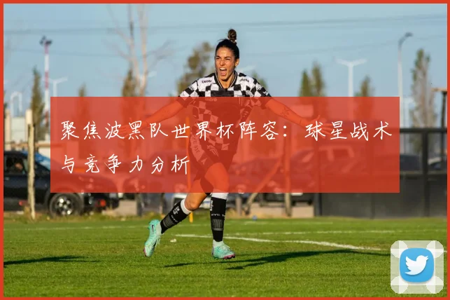聚焦波黑队世界杯阵容:球星战术与竞争力分析
