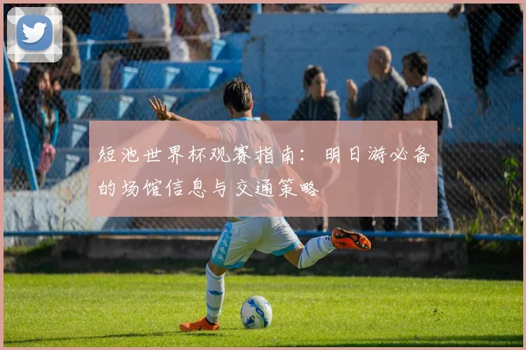 短池世界杯观赛指南:明日游必备的场馆信息与交通策略