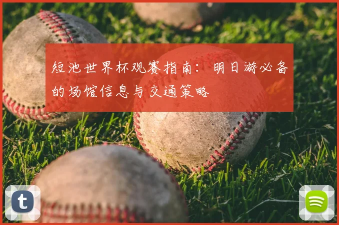 短池世界杯观赛指南:明日游必备的场馆信息与交通策略