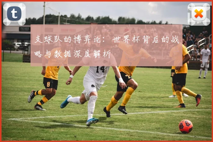 支球队的博弈论:世界杯背后的战略与数据深度解析