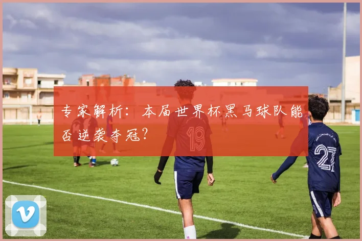 专家解析：本届世界杯黑马球队能否逆袭夺冠？